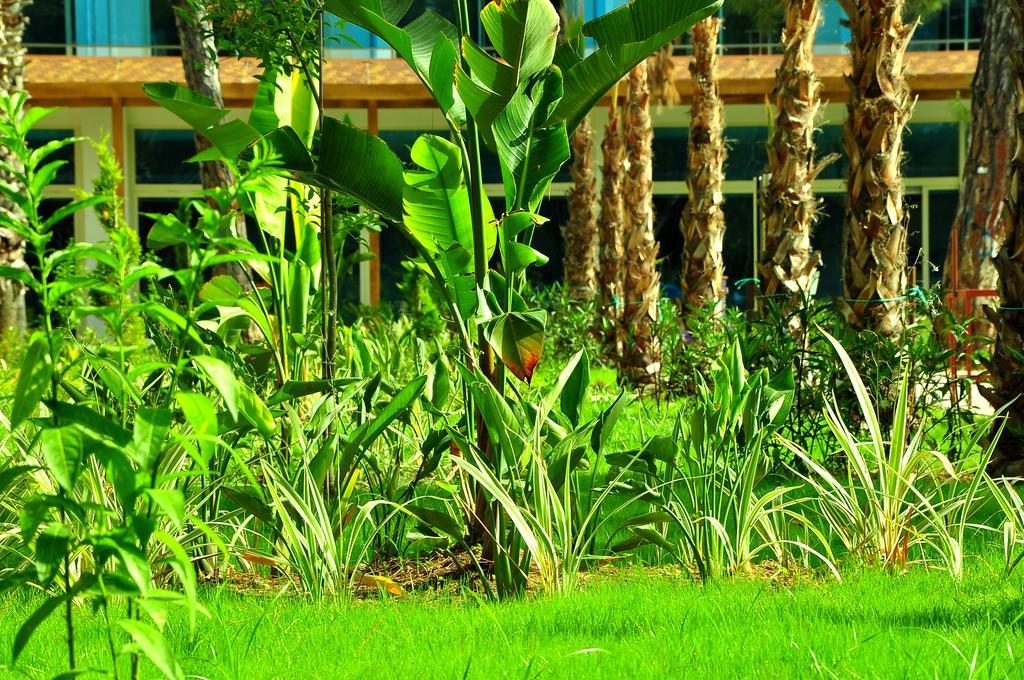 Maya World Hotel All Inclusive Side Eksteriør bilde